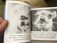 Лот: 11964278. Фото: 2. Бредли Грив "Смысл жизни". Литература, книги