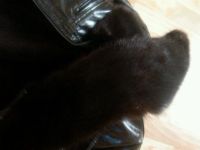 Лот: 12585331. Фото: 4. Мужская зимняя куртка, лаковая... Красноярск