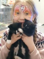Лот: 15312971. Фото: 5. Котёнок