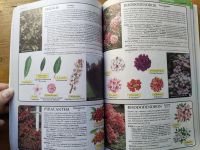 Лот: 25888865. Фото: 3. Д-р Д.Г. Хессайон - Все о декоративных... Литература, книги