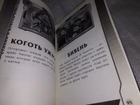 Лот: 16954725. Фото: 3. Трейси Уэст Новая Битва .....Команде... Литература, книги