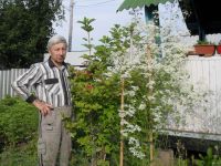 Лот: 1522336. Фото: 7. Сад, цветник и огород. 6,6 соток...