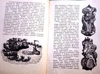 Лот: 19636130. Фото: 3. Садко. Былинный сказ. / Пересказ... Литература, книги