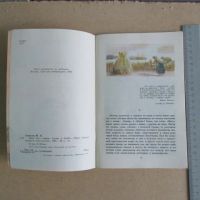 Лот: 7267247. Фото: 5. Книга Цена ему- жизнь. Слово о...