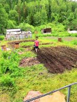 Лот: 11403774. Фото: 4. Дача Сорокино 8сот. Красноярск