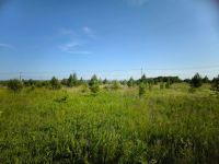 Лот: 25552852. Фото: 6. участок , садоводческое некоммерческое...