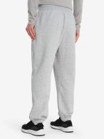 Лот: 25714011. Фото: 3. Брюки мужские The North Face Essential... Одежда, обувь, галантерея