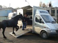 Лот: 4825402. Фото: 14. Грузоперевозки город-межгород...