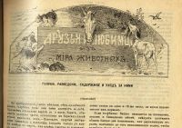 Лот: 15311384. Фото: 8. Мозаика . Иллюстрированный журнал...