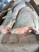 Лот: 11047243. Фото: 4. Продам Кету ПБГ по 22 кг