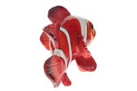 Лот: 23650315. Фото: 3. Декоративная фигурка Hoff Рыба. Коллекционирование, моделизм