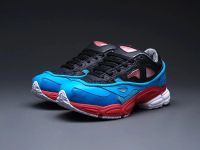 Лот: 9607919. Фото: 5. Кроссовки Adidas Ozweego 2 x Raf...