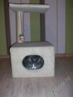 Лот: 579567. Фото: 2. Кошкин дом. Животные и уход