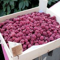 Лот: 25376362. Фото: 4. Лот berryGo: Клубника 🍓 Чёрный...