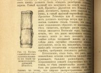 Лот: 16912887. Фото: 7. Доктор. Р. Гимм. Низшие растения...