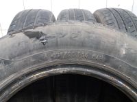 Лот: 20369099. Фото: 7. Pirelli Cinturato P1 175/70 r14