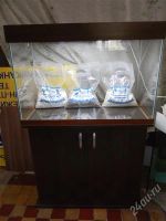 Лот: 2903465. Фото: 2. Аквариум 160л, крышка, тумба... Аквариумистика