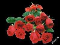 Лот: 1447353. Фото: 2. Розы оптом. Растения и животные