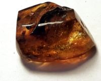 Лот: 25338979. Фото: 2. Янтарь с мелким комариком. Коллекционирование, моделизм