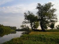 Лот: 4421071. Фото: 3. Краевая Земельная Компания предлагает... Недвижимость