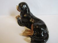 Лот: 17174459. Фото: 3. бернская овчарка зенненхунд собака... Коллекционирование, моделизм