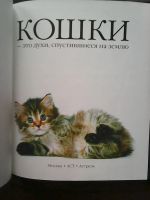 Лот: 17311812. Фото: 2. Сергей Федин. Кошки, это духи... Дом, сад, досуг