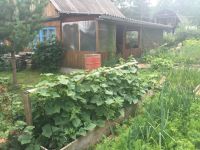 Лот: 9493523. Фото: 2. Продам дачу в Емельяновский район... Продажа