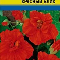 Лот: 12955108. Фото: 3. Семена настурции вьющейся махровой... Для дачи, дома, огорода, бани, парка