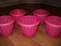 Лот: 13484271. Фото: 2. Горшки с поддонами, новые 5 шт... Комнатные растения и уход