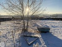 Лот: 21101116. Фото: 6. Продажа Частный дом Шира, Светлая...