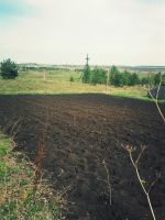 Лот: 11622253. Фото: 2. Участок СНТ Надежда. Продажа