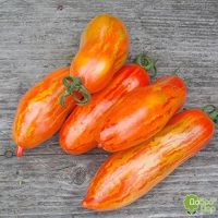 Лот: 10605049. Фото: 3. Томат Безумие Касади (Casady's... Для дачи, дома, огорода, бани, парка