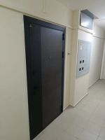 Лот: 25122791. Фото: 11. Входная дверь Ретвизан ОРФЕЙ 311...