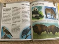 Лот: 12048563. Фото: 5. Книга динозавры