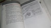 Лот: 10972764. Фото: 4. оз...вб.Ю..Land Cruiser Prado... Красноярск