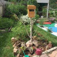 Лот: 9849385. Фото: 6. Дача в Свердловском районе