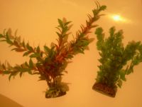 Лот: 8277619. Фото: 2. цветы искуственные(одним лотом... Аквариумистика