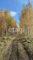 Лот: 25287033. Фото: 2. 3-комн. дом , садоводческое некоммерческое... Продажа