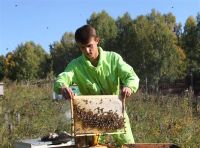 Лот: 2060619. Фото: 3. Мед с доставкой. Красноярск