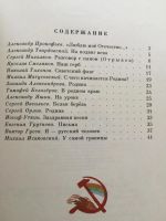 Лот: 7824520. Фото: 3. Сборник стихов о родине, иллюстрации... Коллекционирование, моделизм