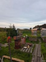 Лот: 16388881. Фото: 3. Дача СНТ Авиатор, р-н пос. Придорожный... Недвижимость