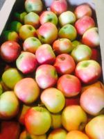 Лот: 6192198. Фото: 11. Яблоки Вкус детства Крым