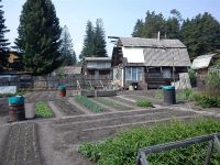 Лот: 2213711. Фото: 2. Дача(Рябинино)№131(Возможен торг... Продажа