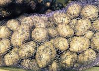 Лот: 19413995. Фото: 2. Картофель сорт "Гала" с деревни... Продукты