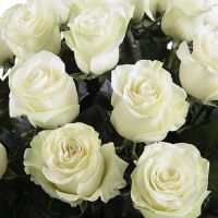 Лот: 11537725. Фото: 2. Розы / Эквадор/ белые Мондиаль. Цветы, букеты