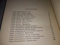 Лот: 5740430. Фото: 11. Горный ветер. Не отдавай королеву...