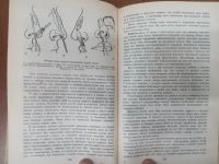 Лот: 20980326. Фото: 4. Глухенький Справочник по врачебной... Красноярск