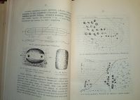 Лот: 23689399. Фото: 17. А.Спицын. Археологические разведки...