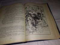 Лот: 8751377. Фото: 10. Сергей Вольф, Где ты, маленький...