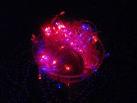Лот: 4825148. Фото: 5. ***Гирлянда 100 LED ( 80диодов...